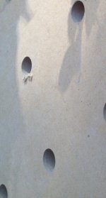 image_4.jpeg
