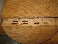 IMG_1037.JPG
