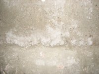 Concrete-Shed---IMG_3478.jpg