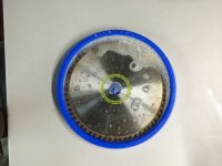 IMG_2982.jpg