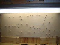 Peg Board a la DOMINO 024.JPE