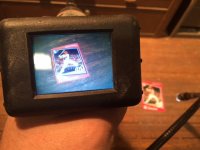 see snake 3.JPG