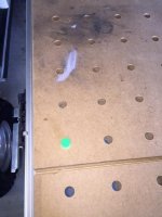 Hole lined up with dog.JPG