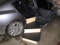 dog stairs.jpg