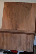 5 tree design 4x3.jpg