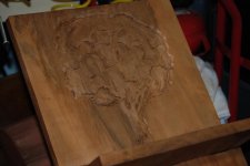 6 first cuts of tree.jpg