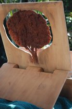 12 sealing the tree back 4x3.jpg