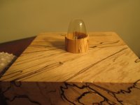 IMG_4455.JPG