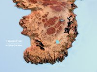 Burl Mirror 02.jpg
