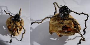 Arachnae.jpg