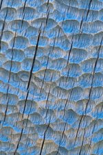 Gouged texture rustic.jpg