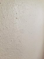 IMG_0900.JPG
