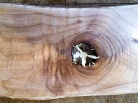 KnotSanded-1.jpg