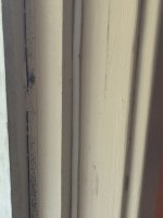 IMG_3970.jpg