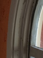 IMG_3972.jpg