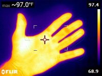 FLIR0215.jpg