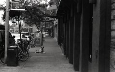 img029.jpg
