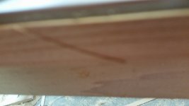 20160217_153204.jpg