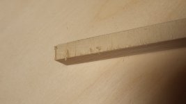 FESTOOL_CUT-1.jpg
