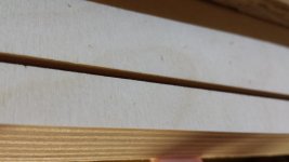 FESTOOL_CUT-3.jpg