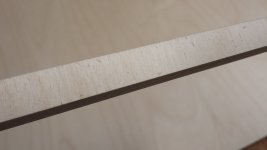 FESTOOL_CUT-2.jpg