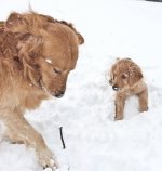 two-generations1.jpg