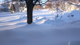 DSC_0182.JPG