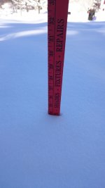 DSC_0186.JPG