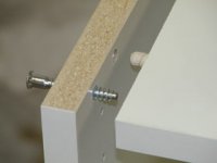 screwcloseup.jpg