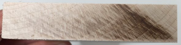 Burned maple.JPG