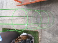 image.jpeg
