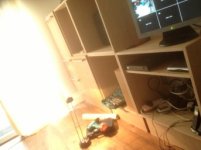 Coming together.jpg