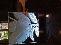 IMG_1446.JPG