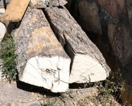 elm-quarter-logs.jpg