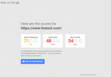 Festool.PNG