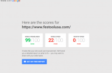 Festool USA.PNG