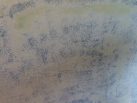 P7190578.png