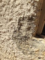 Stucco on Wall 2.jpg