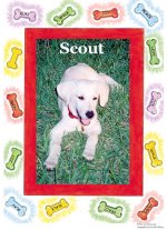 Scout Framed.jpg