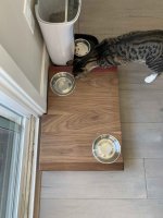 IMG_1395.jpeg