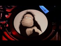 Gorilla.jpg