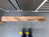 Walnut1.jpg
