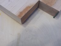 maple 51mm.jpg