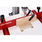 dp3_fence-1.jpg