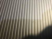 IMG_0782.jpg