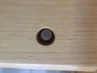 IMG_2562.jpeg