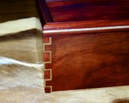 padauk 2014 046.jpg