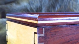 padauk 2014 052.jpg