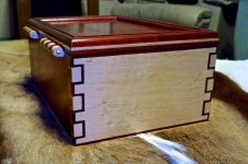padauk 2014 049.jpg