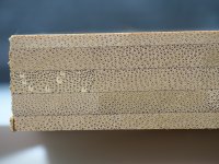 bamboo-edge.jpg